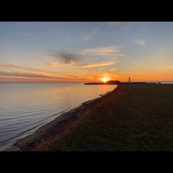 Meet your Posher, Cassie - Picture 1 of 1